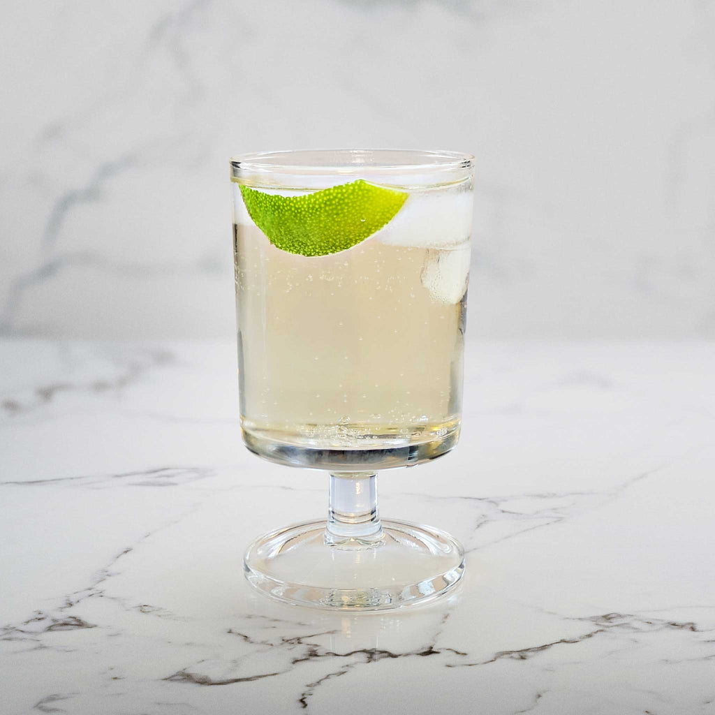 Citrus Tryst (12 Pack)