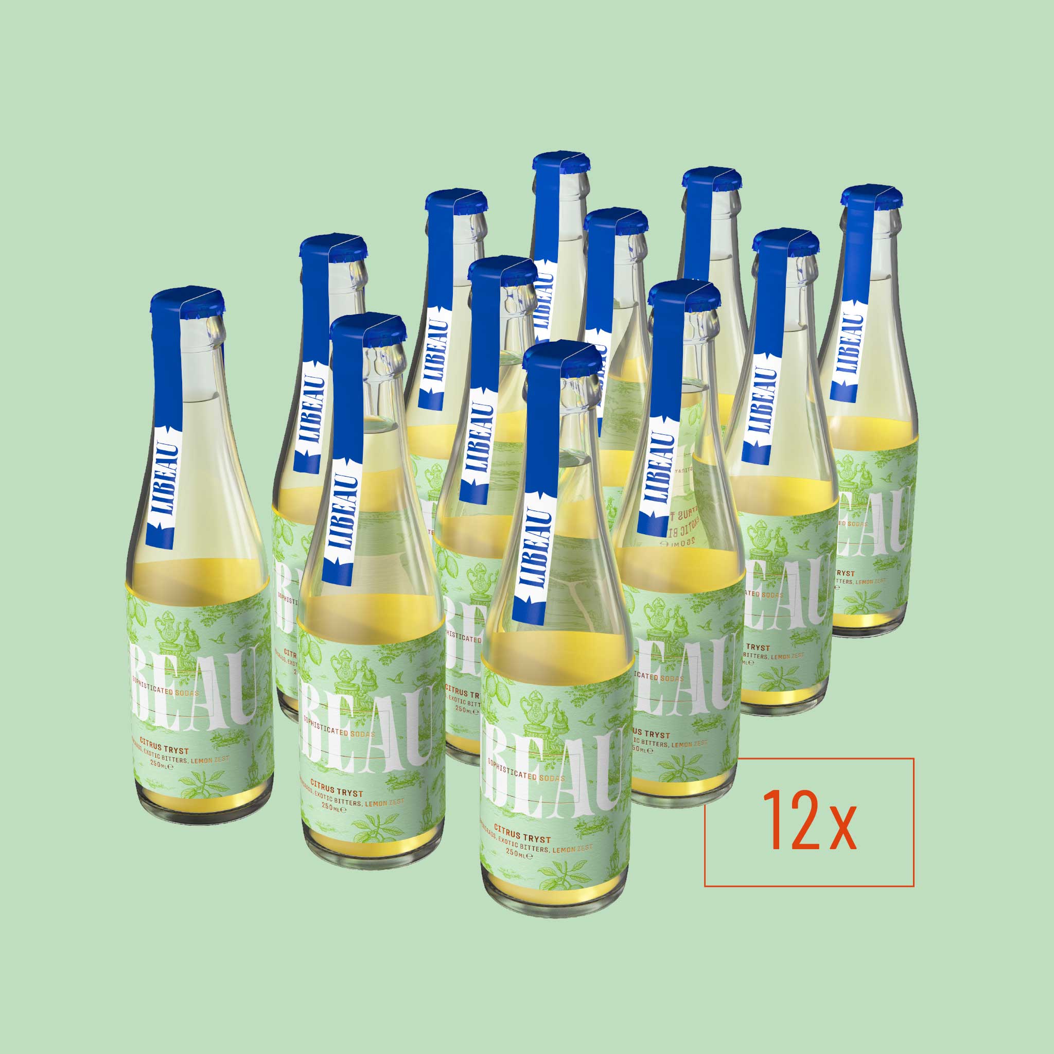 Citrus Tryst (12 Pack)